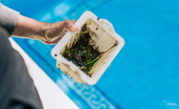 Commercial Cleanout Services in Blaine, WA